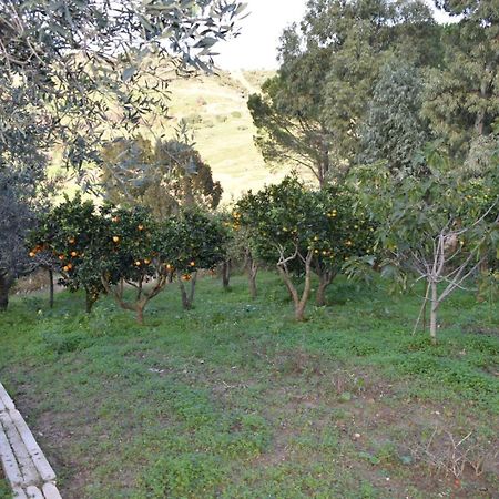 La Casetta Nel Bosco Apartamento Calatafimi Exterior foto