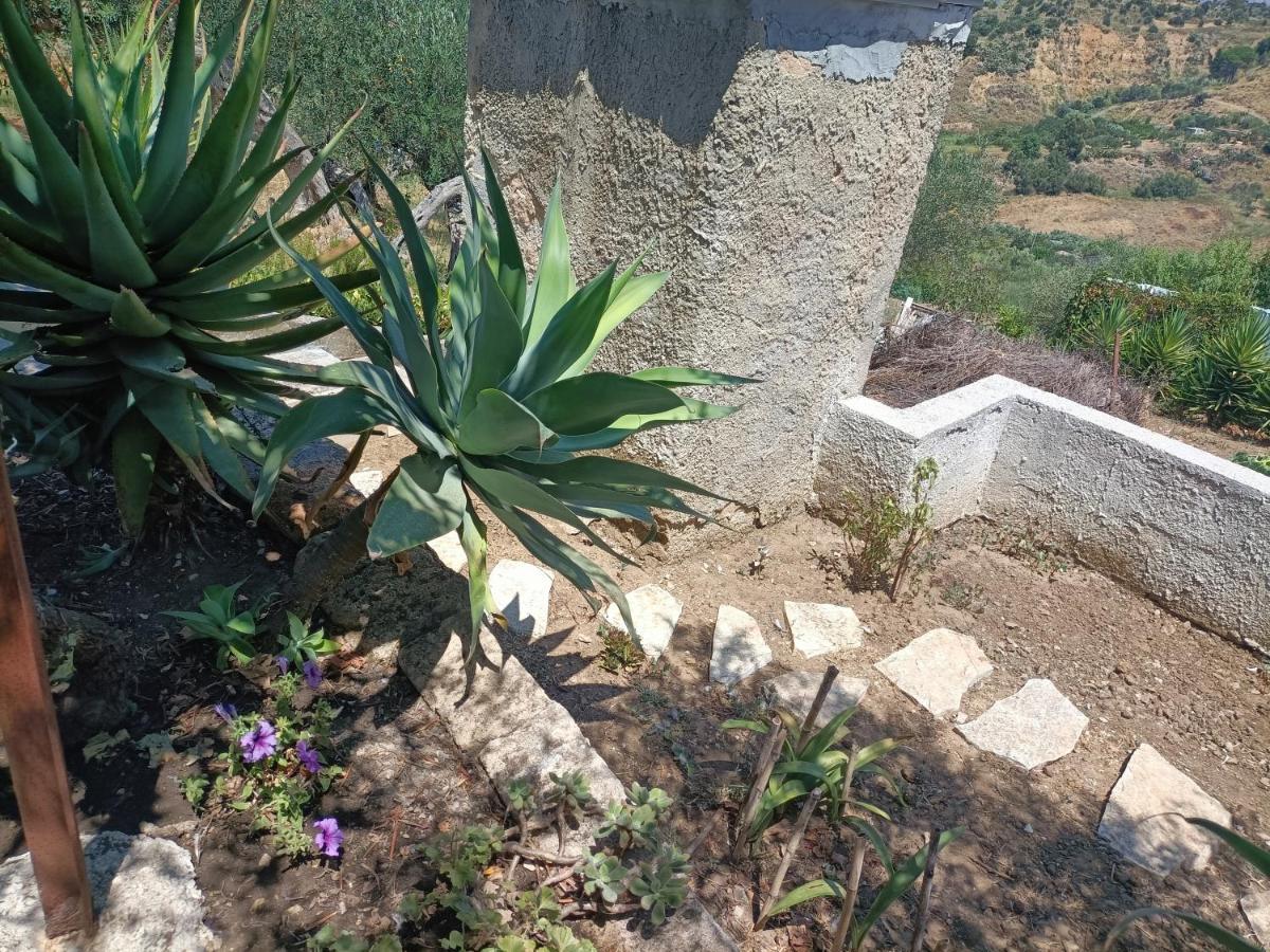 La Casetta Nel Bosco Apartamento Calatafimi Exterior foto